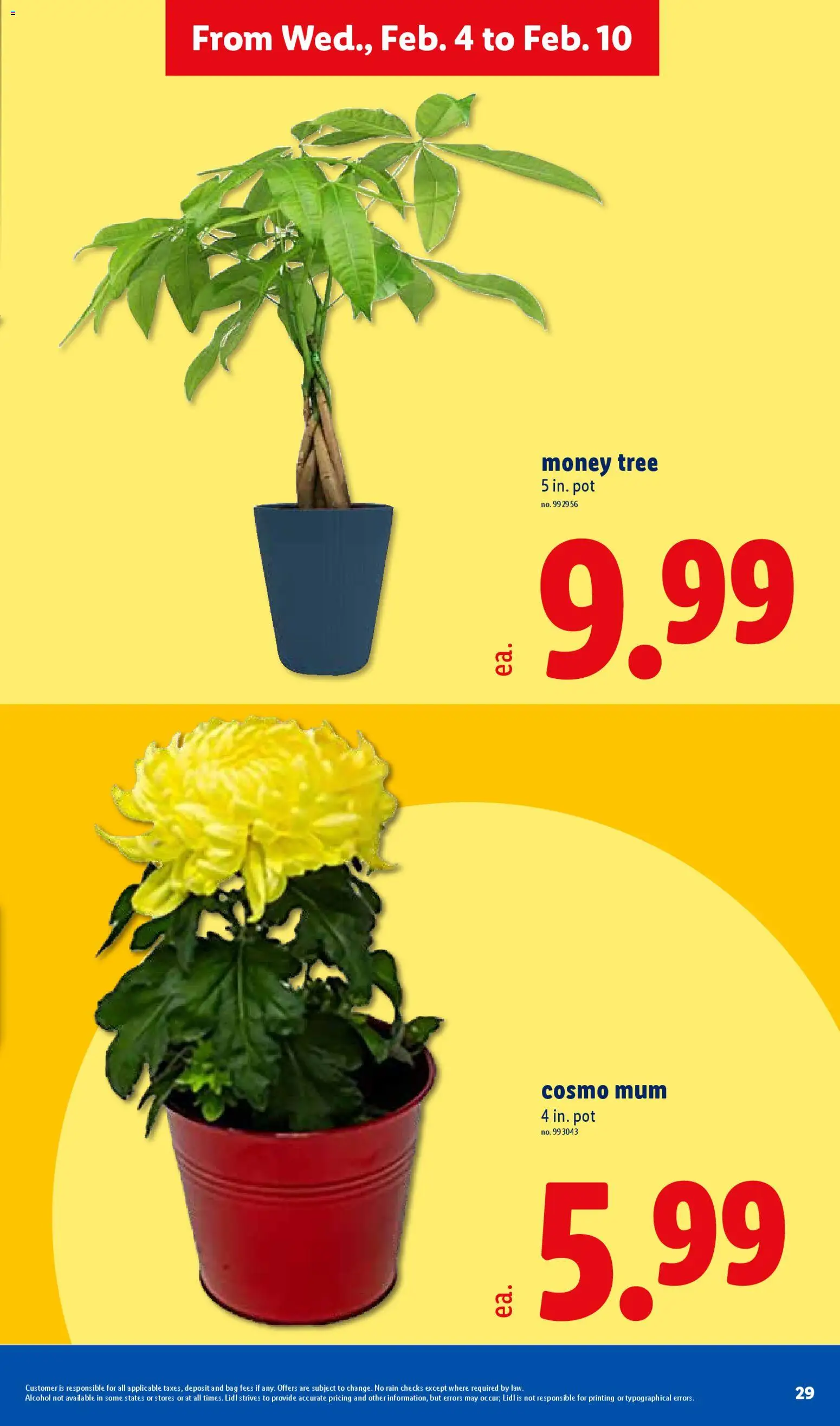 Lidl Weekly Ad - valid from 04.02.2026 | Page: 29 | Products: Bag