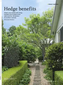 Preview of Catalogue Bunnings Warehouse March - valid from 01.03.2026 | Page: 45