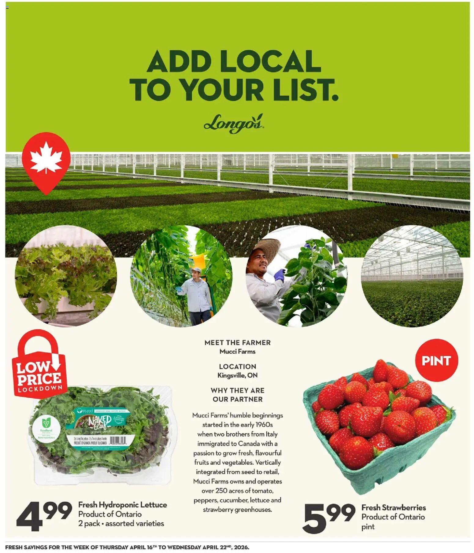 Longo's flyer valid from 16.04.2026 | Page: 19 | Products: Strawberries