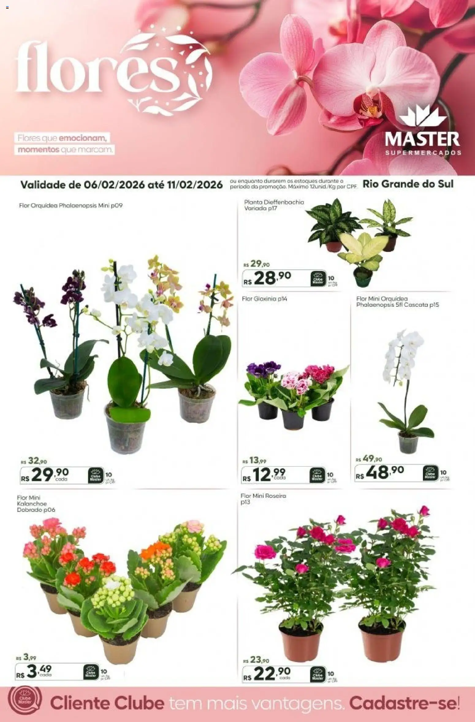 Master Folheto - válido de 06.02.2026 | Página: 1