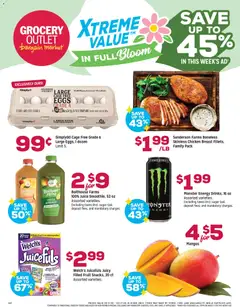 Preview of Grocery Outlet weekly ads valid from 11.03.2026