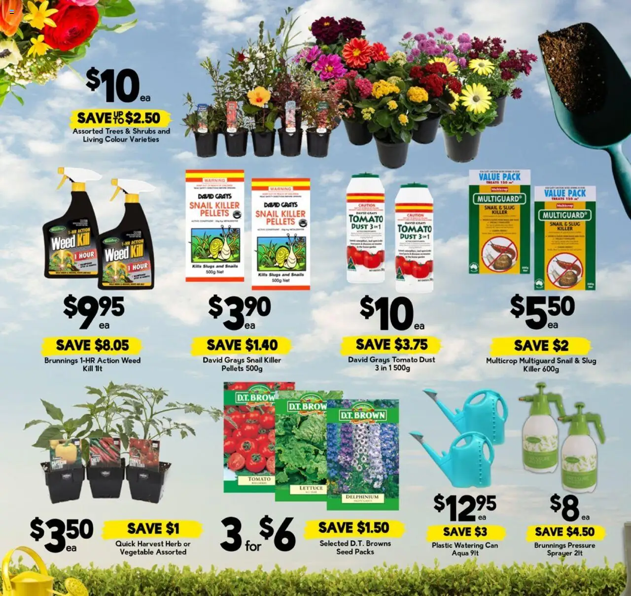 Drakes catalogue - valid from 10.09.2025 | Page: 19 | Products: Herb, Lettuce, Watering can, Weed