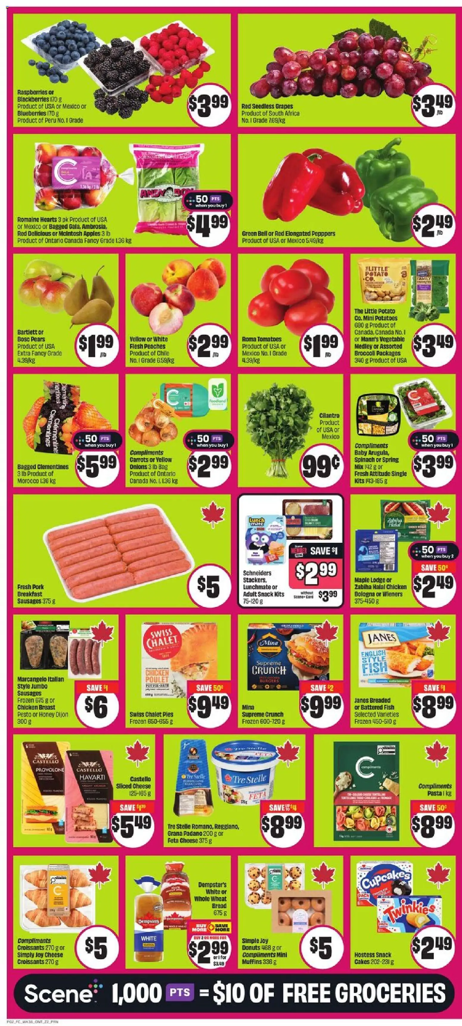 FreshCo flyer valid from 15.01.2026 | Page: 3 | Products: Fish, Cheese, Chicken, Pork