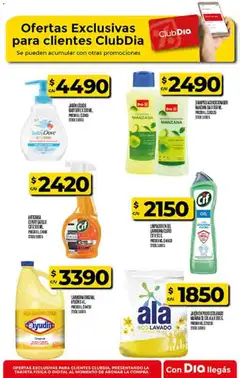 Vista previa Supermercado DIA Ofertas válido desde el 22.10.2025 | Página: 55