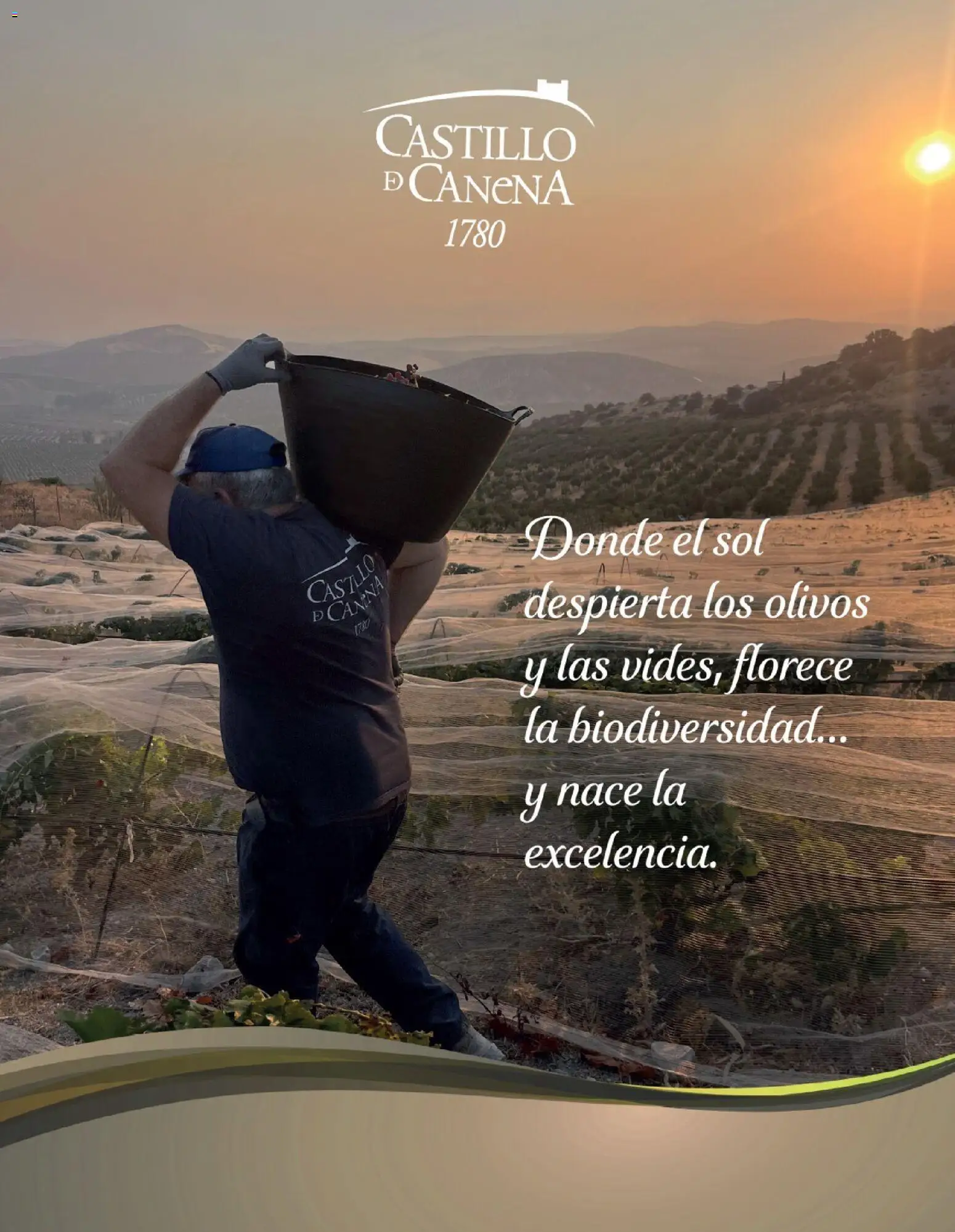 Nuevas ofertas de El Corte Inglés válidas en toda la República Mexicana desde el 19.11.2025. ¡Encuentra las mejores ofertas en El Corte Inglés catálogo El Placer De Regalar! | Página: 76