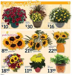 Fortinos flyer valid from 11.09.2025 | Page: 29 | Products: Basket