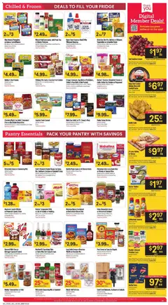 Preview of Basha's weekly ads valid from 10.12.2025 | Page: 5