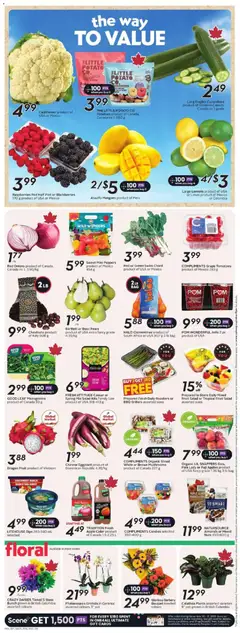 Preview of Safeway weekly flyer / circulaire from shop Safeway valid from 25.12.2025 | Page: 7