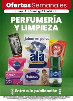 Vista previa Coto - Ofertas PERFUMERÍA Y LIMPIEZA válido desde el 16.03.2026