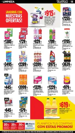 Vista previa Yaguar - Córdoba válido desde el 13.10.2025 | Página: 13 | Productos: Servilletas, Jabón líquido, Jabón en polvo, Pasta