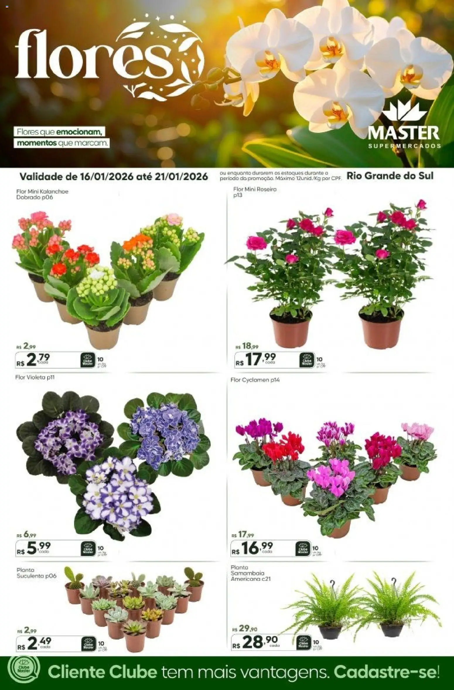 Master Folheto - válido de 16.01.2026 | Página: 1 | Produtos: Flores