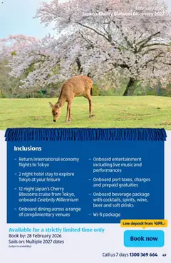 Preview of Aldi NEW Holidays - valid from 01.02.2026 | Page: 49