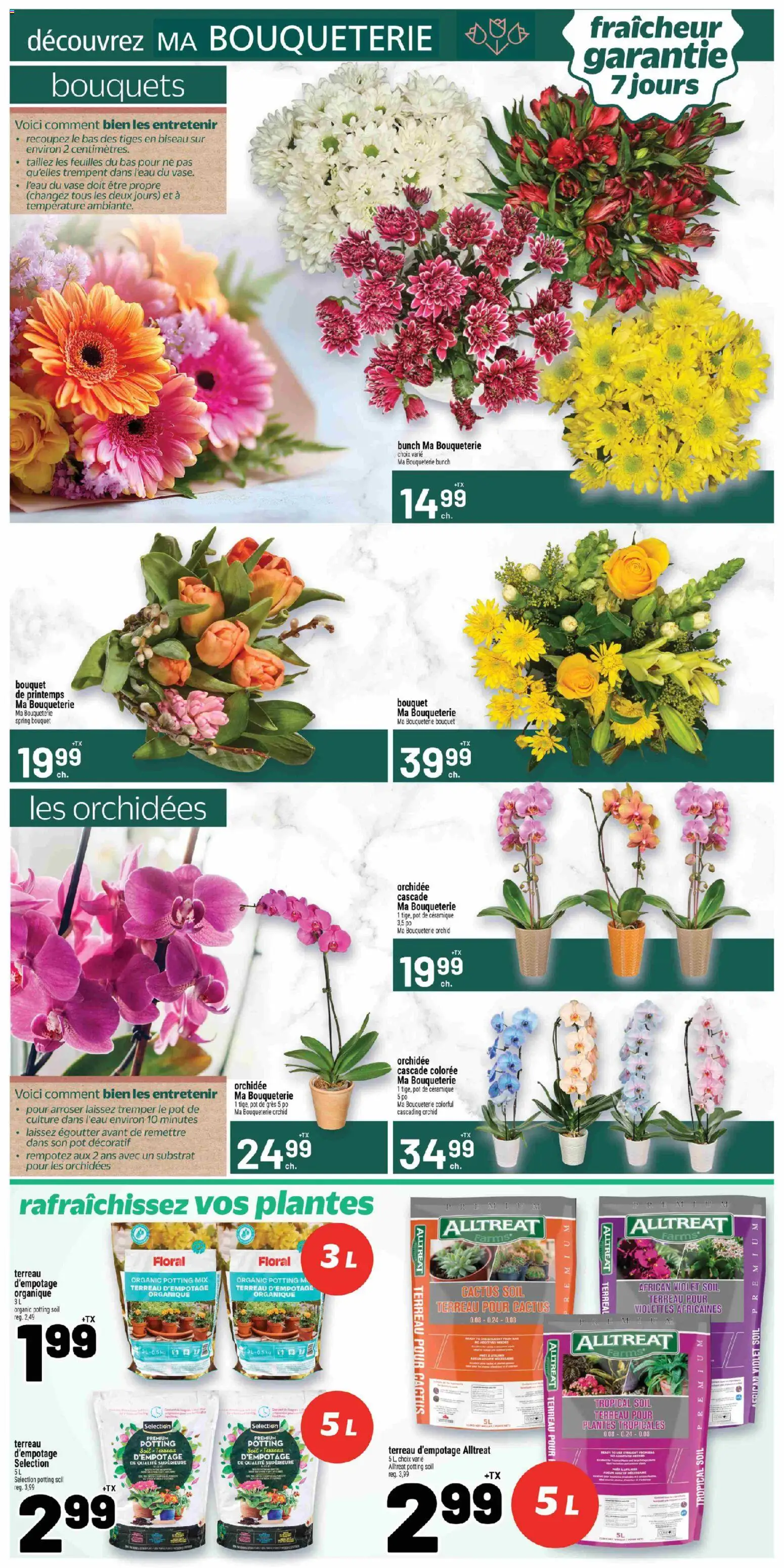 Metro flyer valid from 23.04.2026 | Page: 13 | Products: Vase