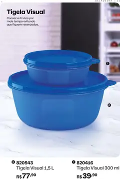 Tupperware - Catálogo Vitrine 12 - Pré-Visualização do folheto da loja Tupperware, válido de 01.12.2025 | Página: 31 | Produtos: Geladeira, Tigela