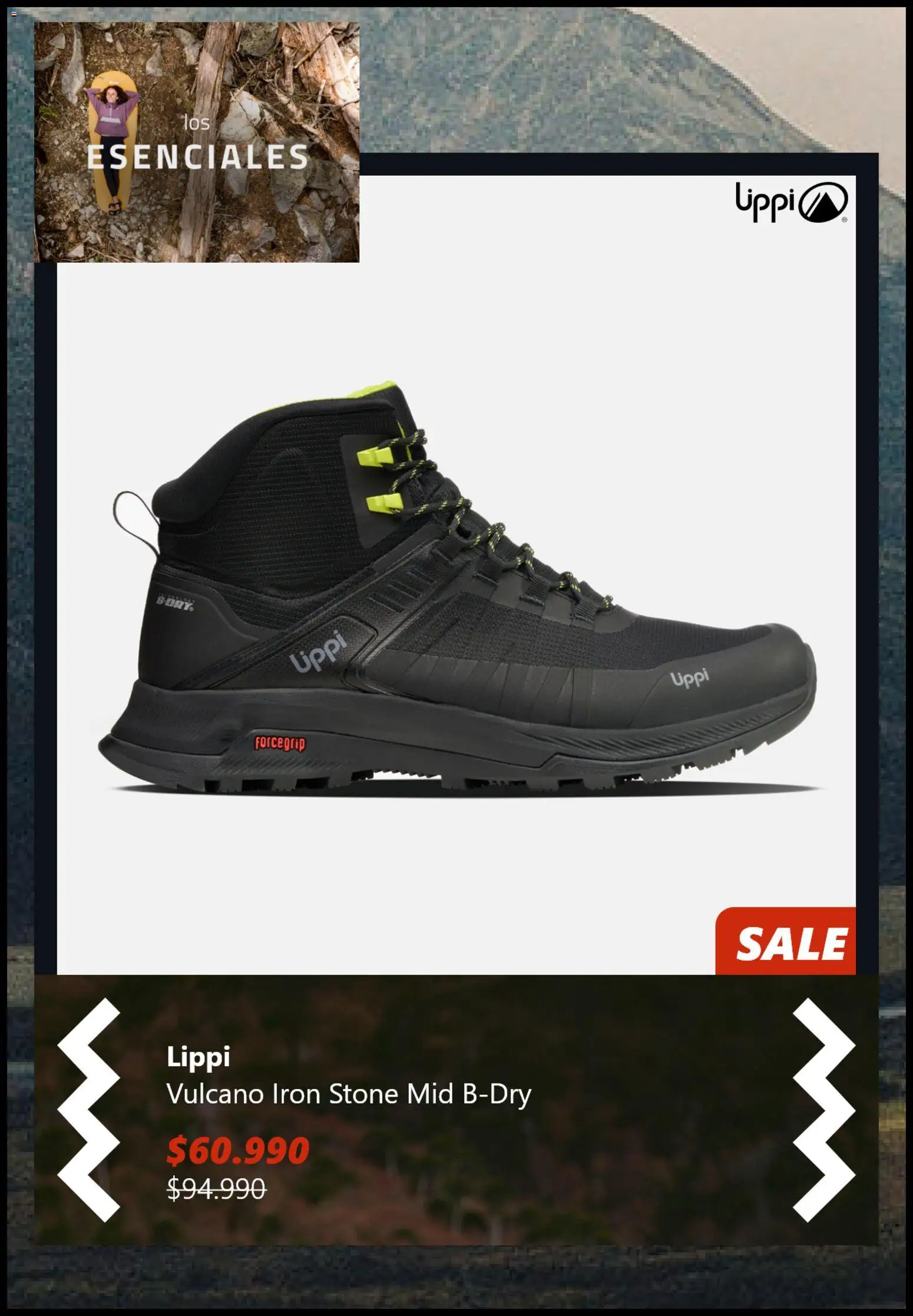 Lippi ofertas  │ válido desde el 16.12.2025 | Página: 5