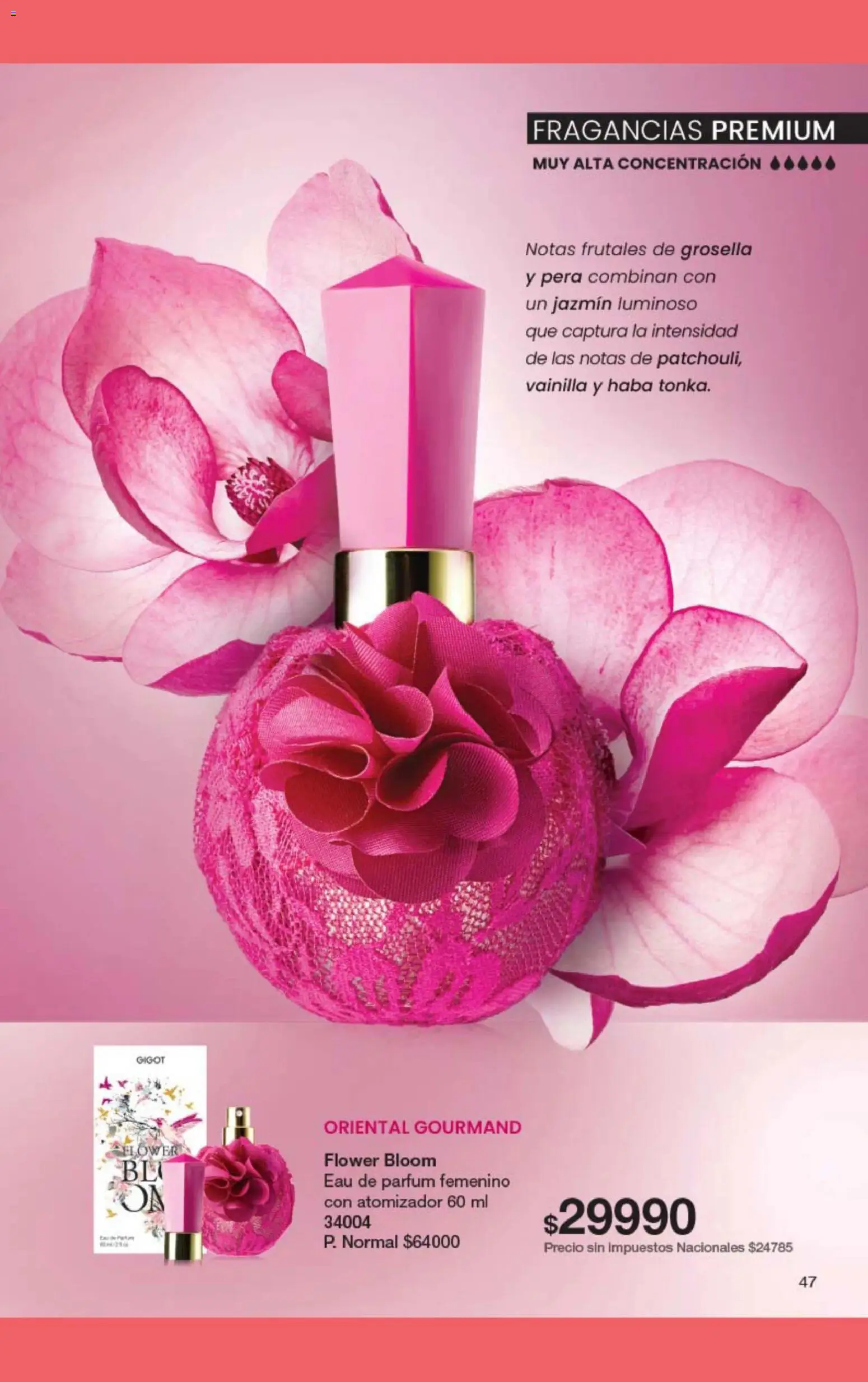 Gigot - CAMPAÑA 06 │ válido desde el 15.03.2026 | Página: 63 | Productos: Pera