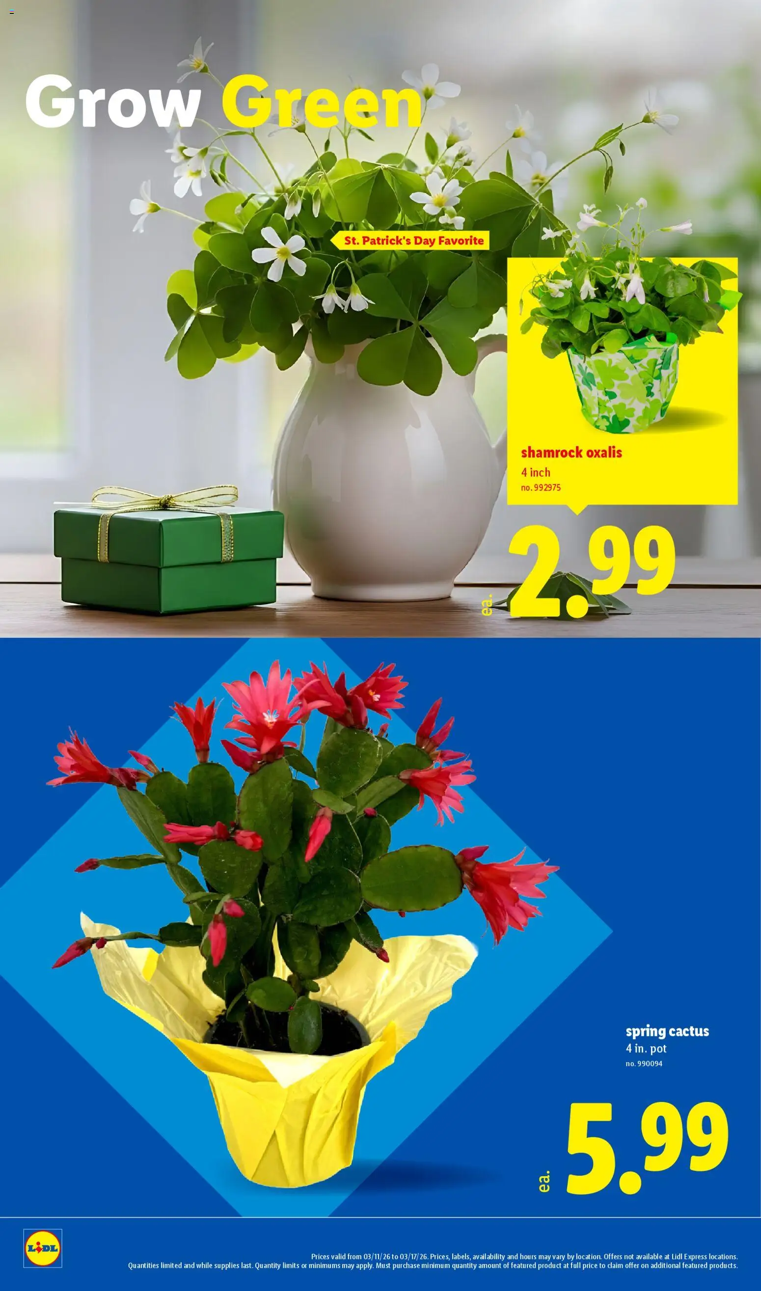 Lidl Weekly Ad - valid from 11.03.2026 | Page: 24