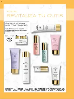 Nuevas ofertas de JAFRA válidas en toda la República Mexicana desde el 01.05.2025. ¡Encuentra las mejores ofertas en JAFRA ROYAL REVITALIZE Gentle Cleansing Milk Skin Facial Limpiador, Gentle Cleansing Milk Skin Facial Limpiador! | Página: 6