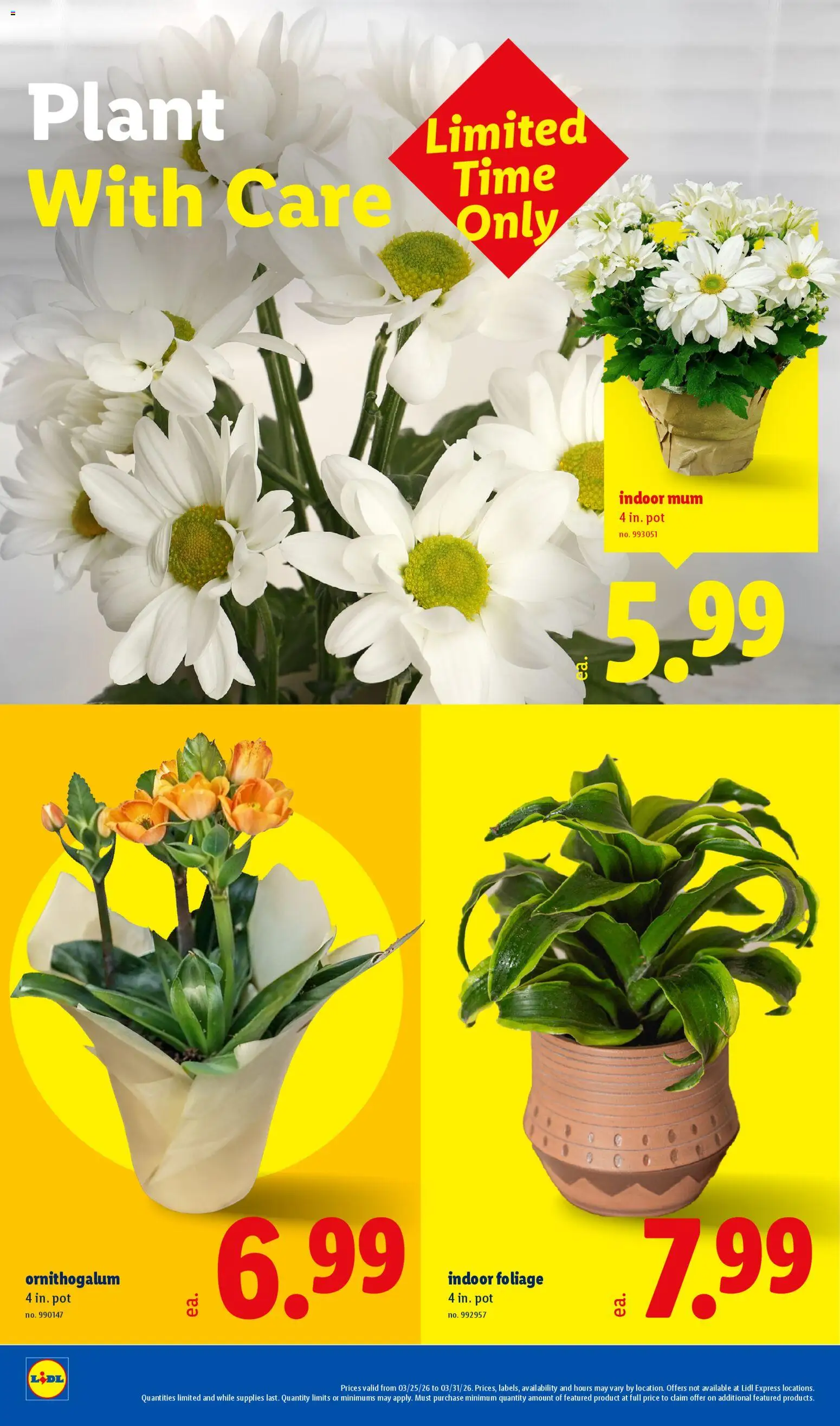 Lidl Weekly Ad - valid from 25.03.2026 | Page: 34