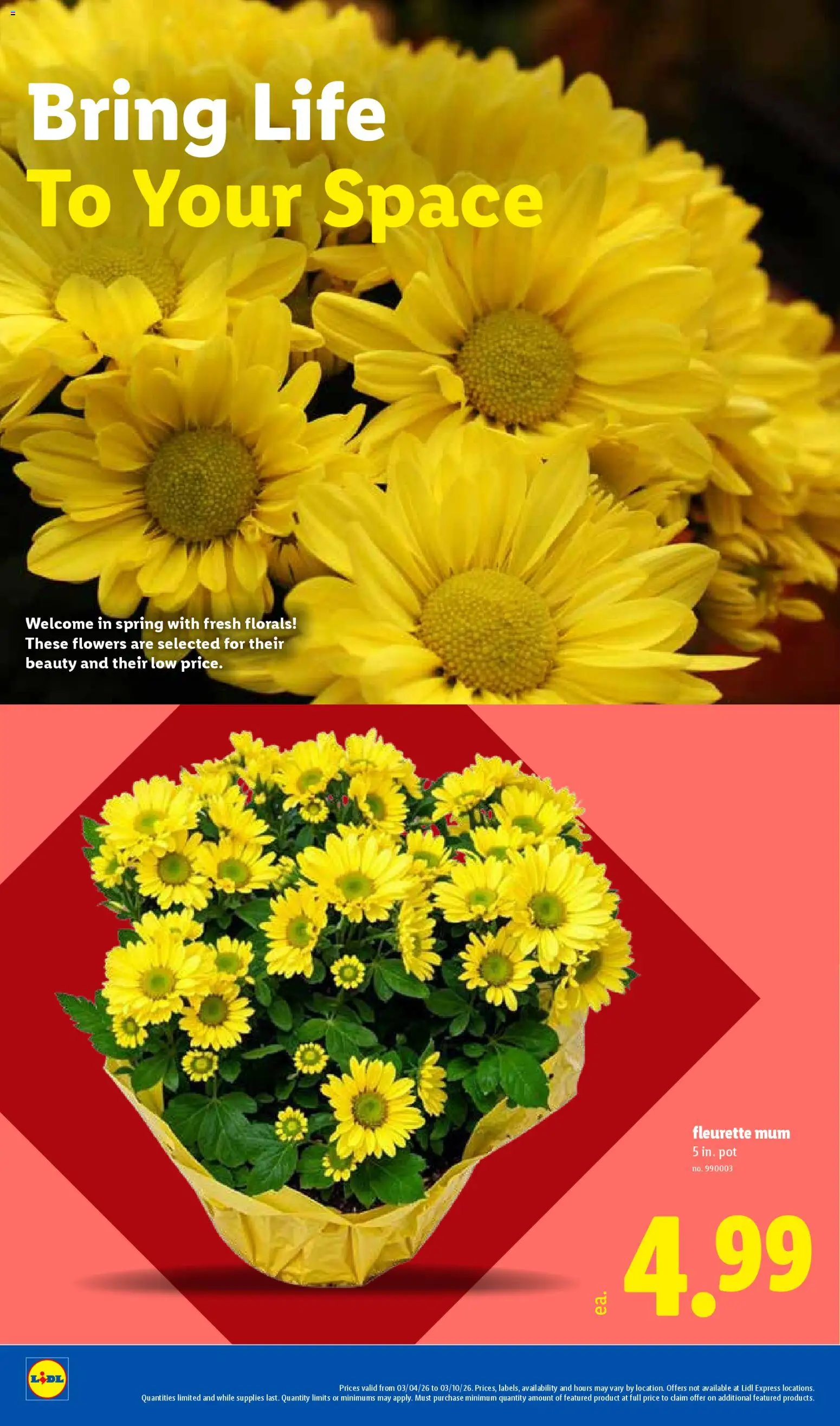 Lidl Weekly Ad - valid from 04.03.2026 | Page: 18