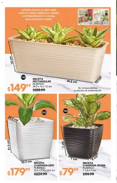 Nuevas ofertas de Fuller válidas en toda la República Mexicana desde el 09.07.2025. ¡Encuentra las mejores ofertas en Fuller campaña 7 2025! | Página: 84 | Productos: Baño, Maceta