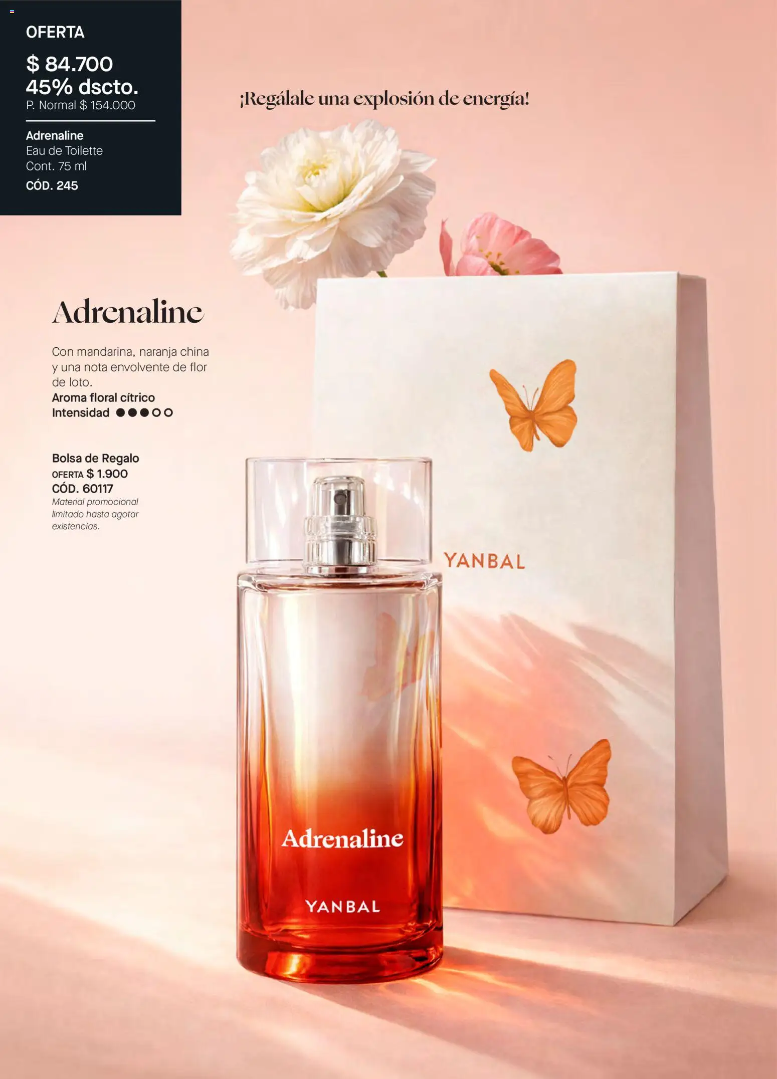 Yanbal revista - valida desde el 25.04.2026 | Página: 22