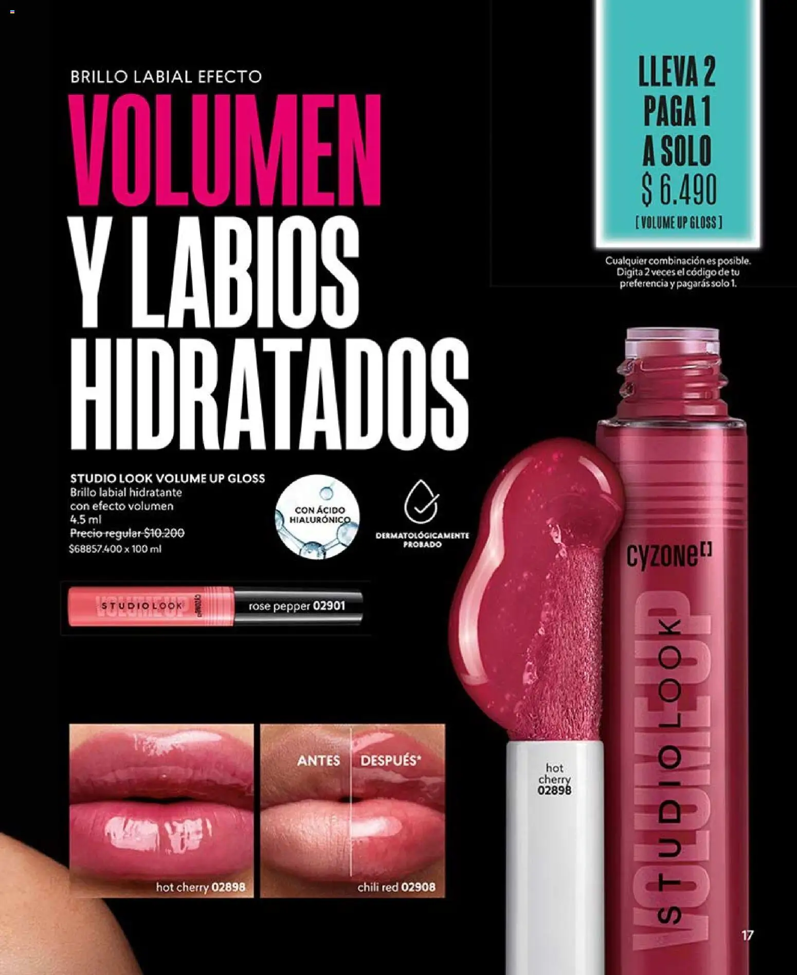 Catálogo CyZone Campaña 6 │ válido desde el 31.03.2026 | Página: 17 | Productos: Brillo, Labial
