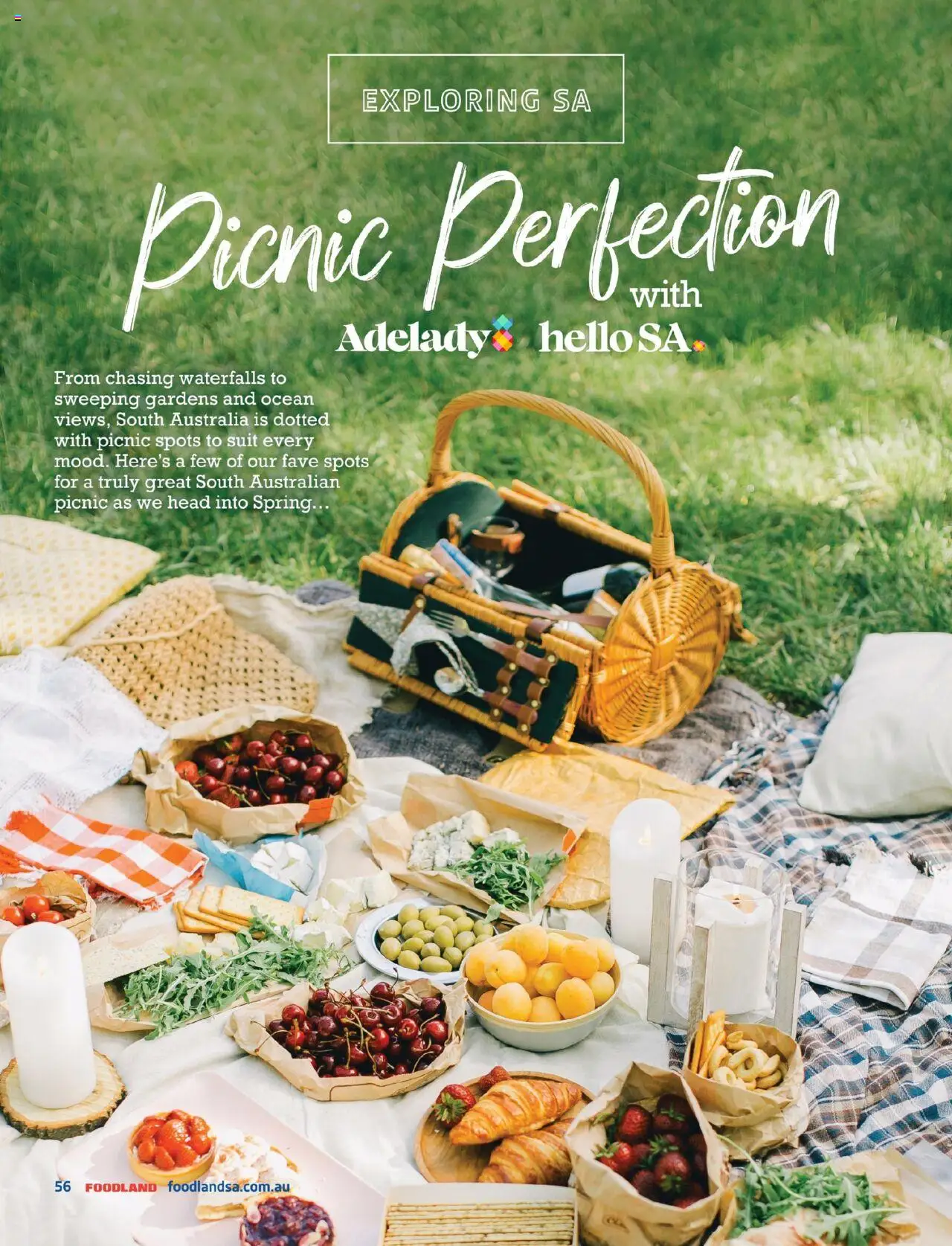 Foodland catalogue - valid from 01.09.2025 | Page: 56 | Products: Suit