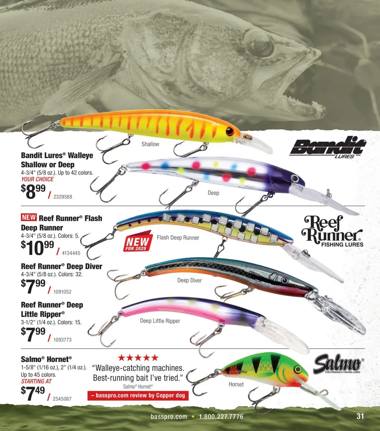 Cabela's Northern Angler 25 - valid from 27.03.2025 | Page: 31 | Products: Bait