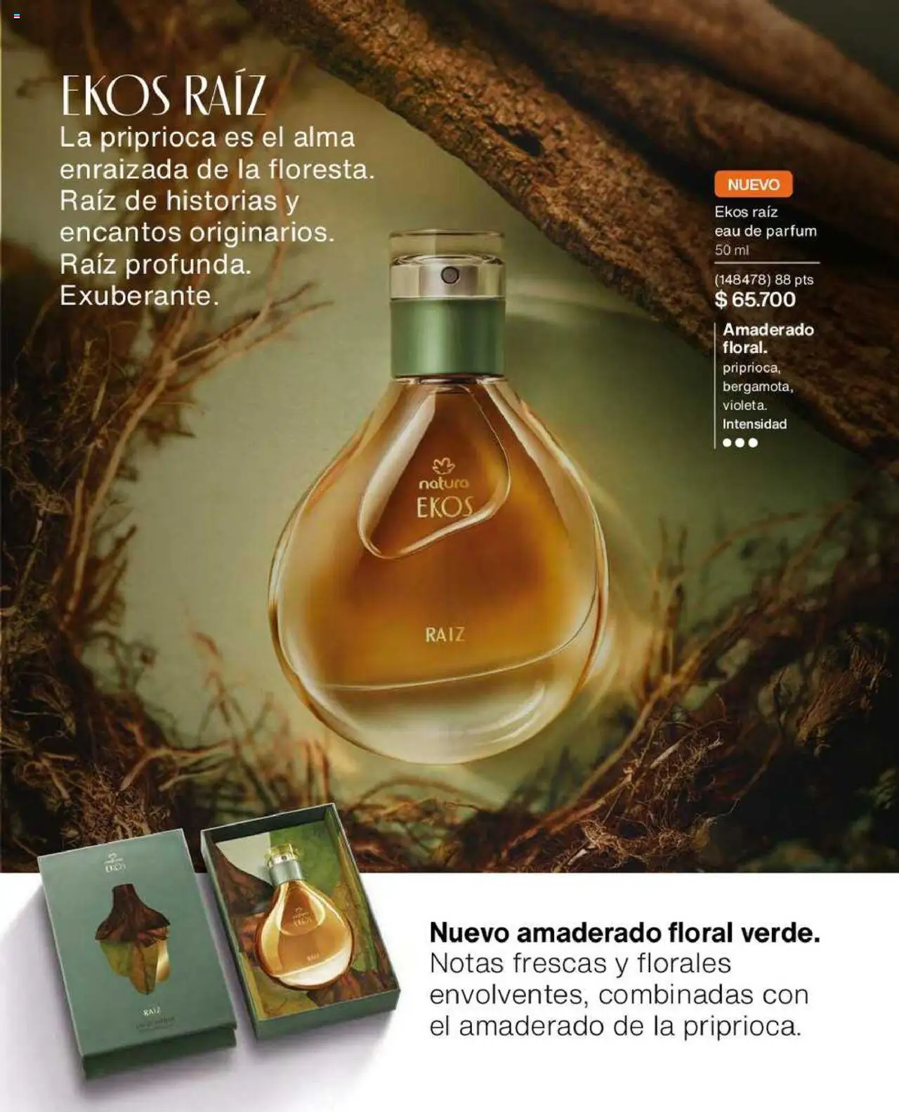 Natura catálogo │ válido desde el 13.07.2025 | Página: 29