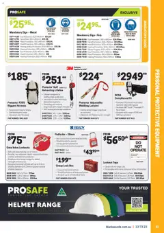 Black Woods catalogue - valid from 25.08.2025 | Page: 31 | Products: Gate, Mask, Face mask, Safe