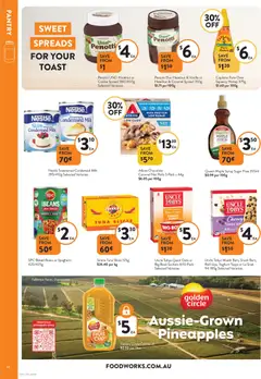 Preview of Foodworks Catalogue NSW - valid from 05.11.2025 | Page: 18 | Products: Honey, Pineapple, Tuna, Watch