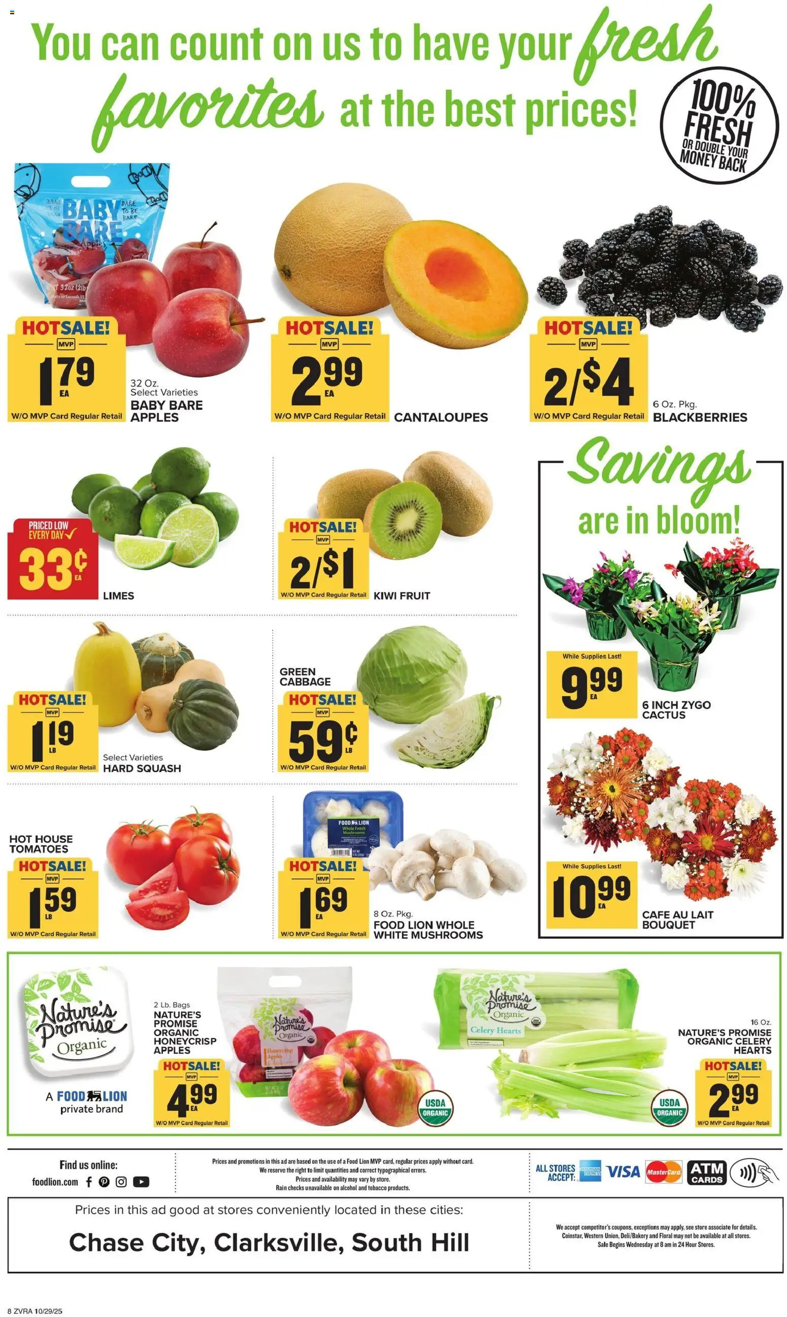 Food Lion Weekly Ad - valid from 29.10.2025 | Page: 11 | Products: Cantaloupes, Mushrooms, Apples, Kiwi