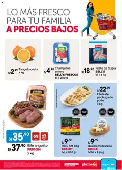 Vista previa de folleto Plaza Vea - Aviso Fds Frescos N3 de la Plaza Vea válido desde 18.07.2025