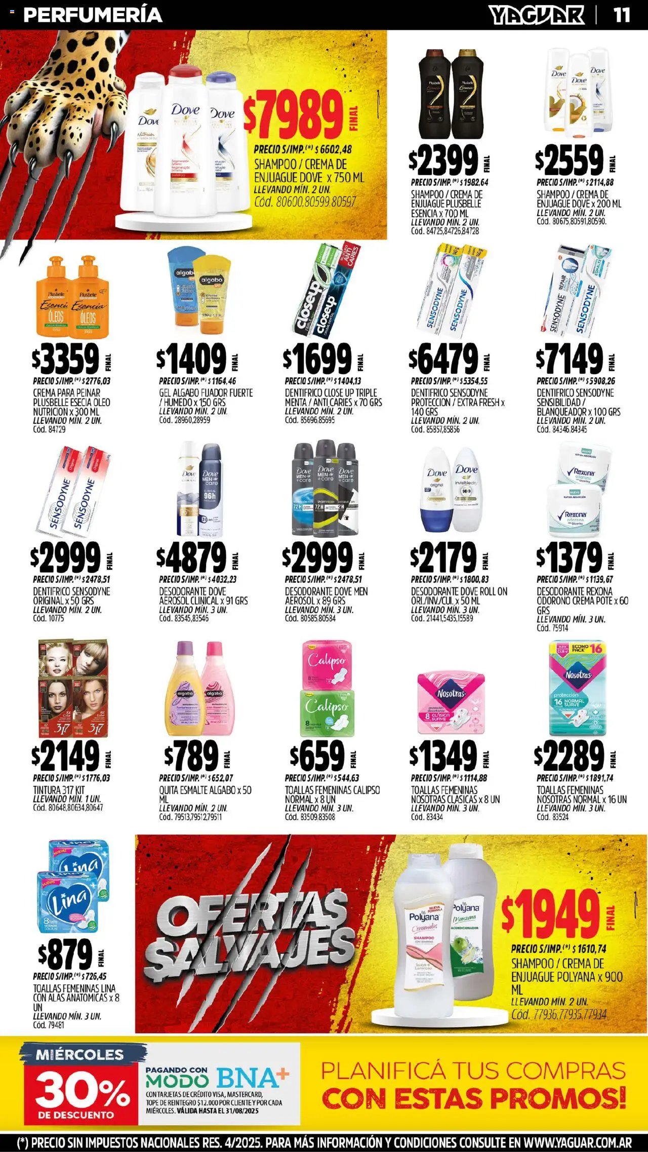 Yaguar - Maschwitz │ válido desde el 11.08.2025 | Página: 12 | Productos: Toallas, Tintura, Acondicionador, Desodorante