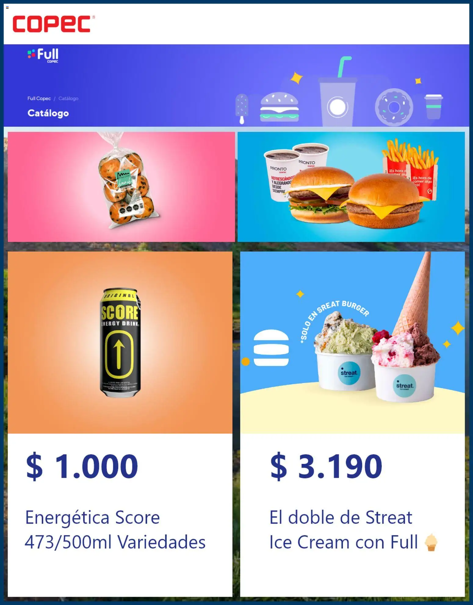 Copec ofertas  │ válido desde el 12.03.2026 | Página: 2