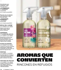 Vista previa Millanel - Catálogo válido desde el 02.02.2026 | Página: 202 | Productos: Algodón, Manzana, Ropa, Uva