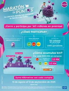 Jumbo revista - valida desde el 13.08.2025 | Página: 2 | Productos: Té