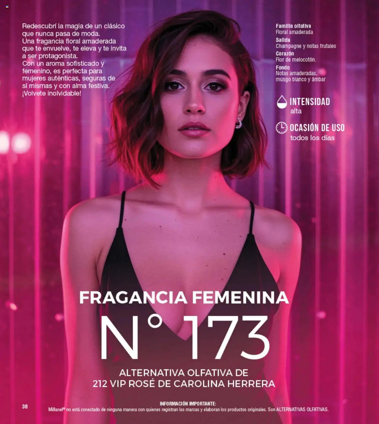 Millanel - Catálogo │ válido desde el 20.10.2025 | Página: 36 | Productos: Fragancia, Champagne, Té