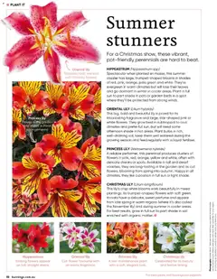 Preview of Catalogue Bunnings Warehouse December  - valid from 01.12.2025 | Page: 52