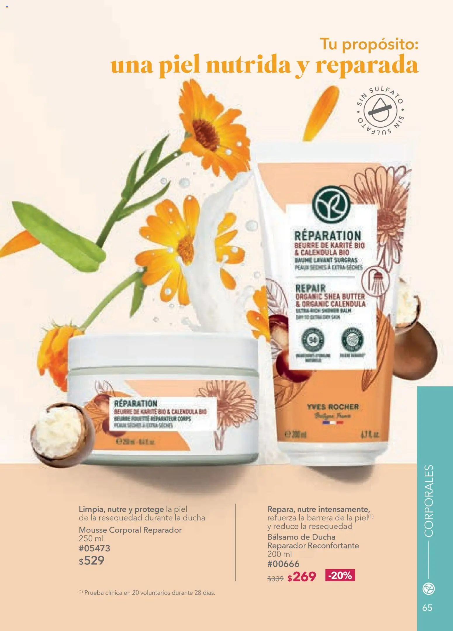 Nuevas ofertas de Yves Rocher válidas en toda la República Mexicana desde el 30.12.2025. ¡Encuentra las mejores ofertas en Yves Rocher campaña 1 2026! | Página: 67 | Productos: Mousse, Bálsamo