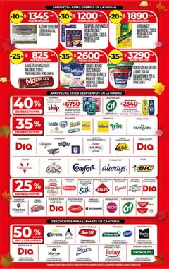 Vista previa Supermercado DIA Ofertas válido desde el 22.04.2026 | Página: 2