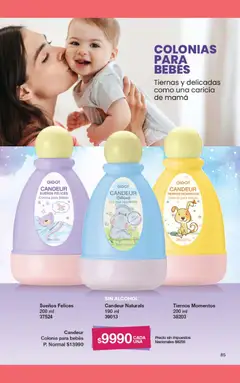 Vista previa Gigot - CAMPAÑA 01 válido desde el 01.01.2026 | Página: 63