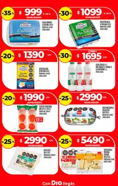 Vista previa Supermercado DIA Ofertas válido desde el 02.01.2026 | Página: 11 | Productos: Leche, Queso