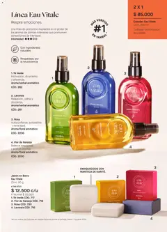 Yanbal catálogo -  Vista previa de la revista de la tienda Yanbal valido desde el 28.02.2026 | Página: 47