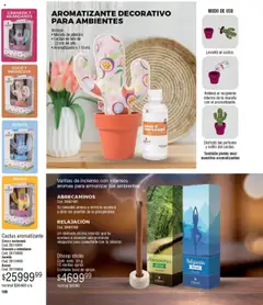 Millanel catálogo │ válido desde el 18.08.2025 | Página: 166 | Productos: Maceta, Perfume, Ananá, Té