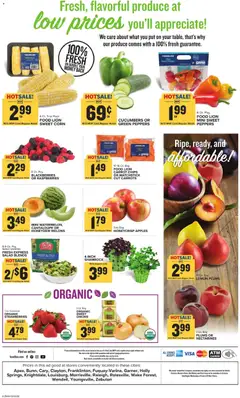 Preview of Food Lion weekly ads valid from 25.02.2026 | Page: 2