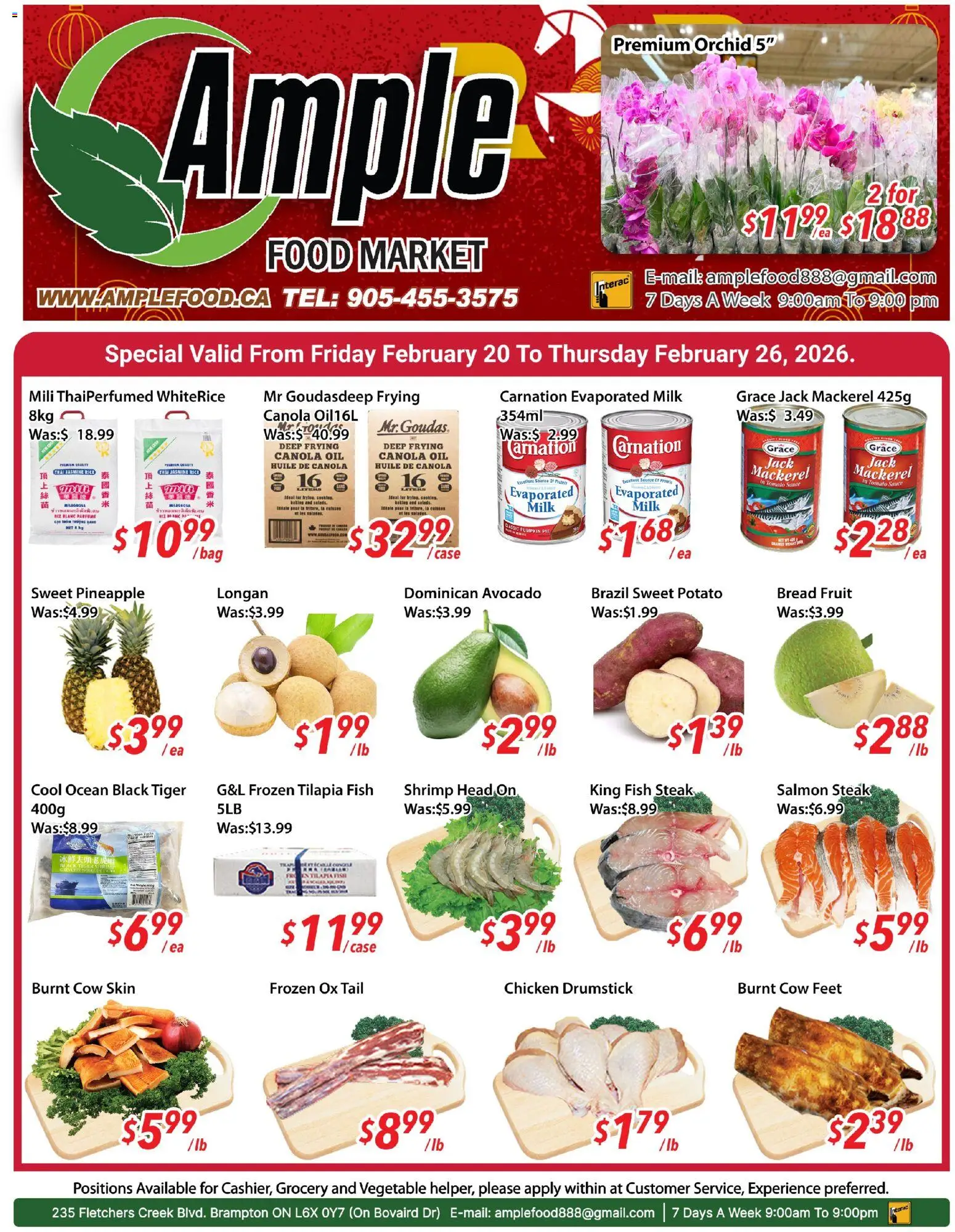 Ample Food Market flyer valid from 20.02.2026 | Page: 1 | Products: Rice, Fish, Oil, Pumpkin