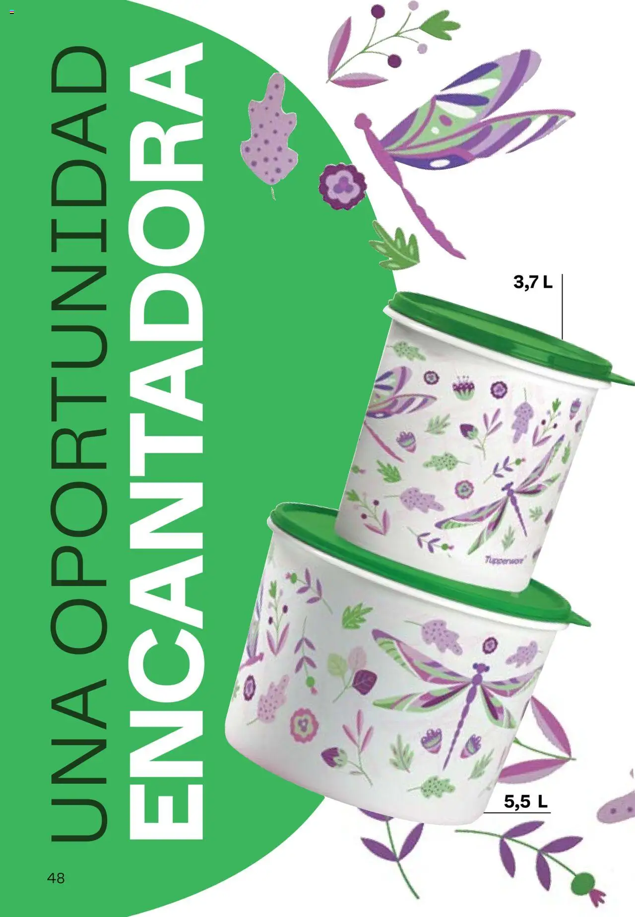 Tupperware Folleto │ válido desde el 11.08.2025 | Página: 49