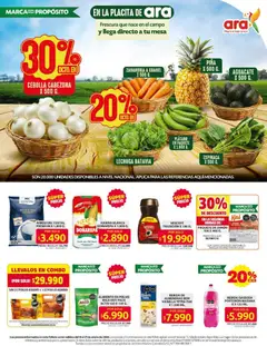 Ara - Catálogo -  Vista previa de la revista de la tienda Ara valido desde el 15.01.2026 | Página: 2